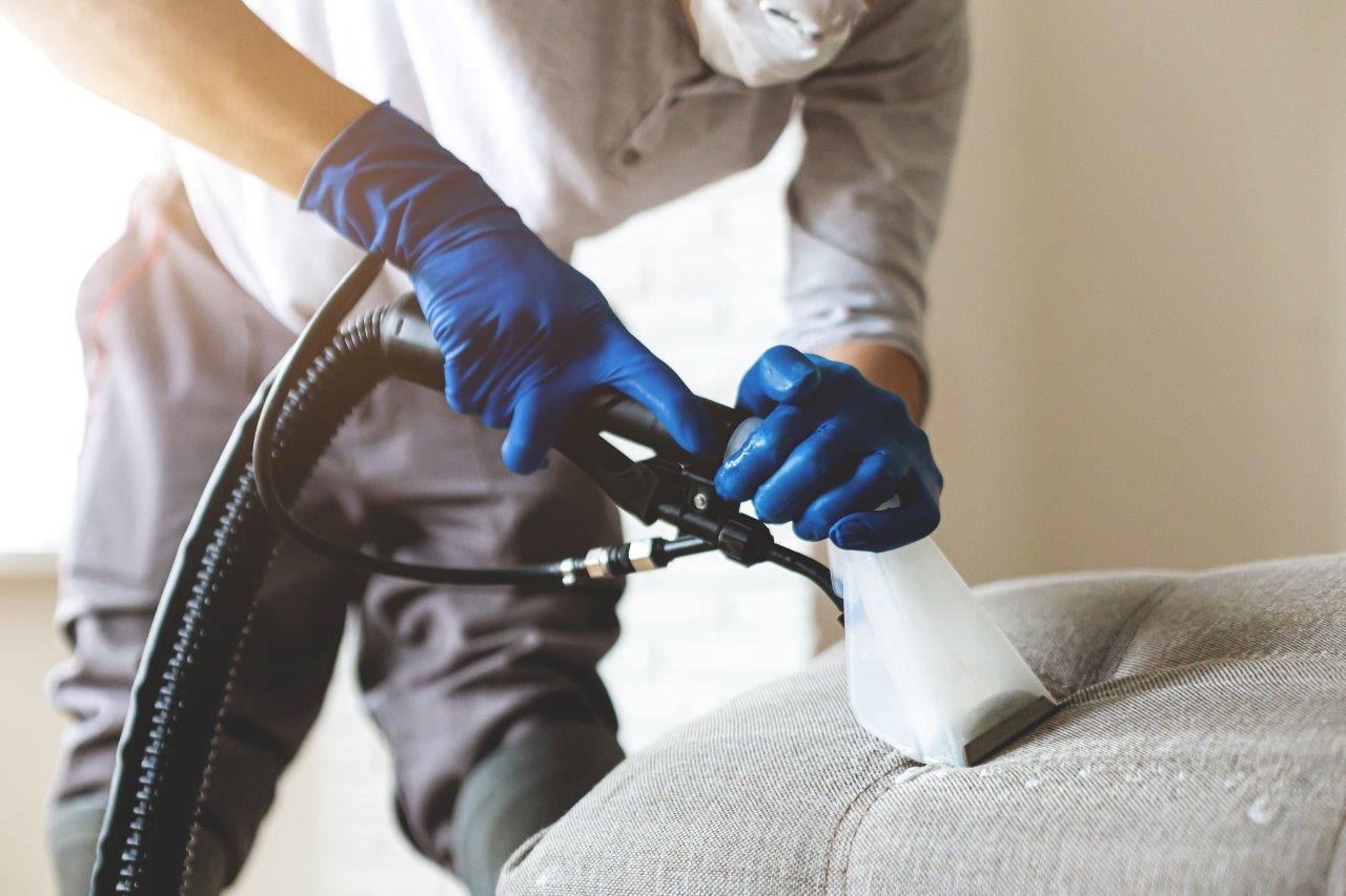 Man upholstery cleaning