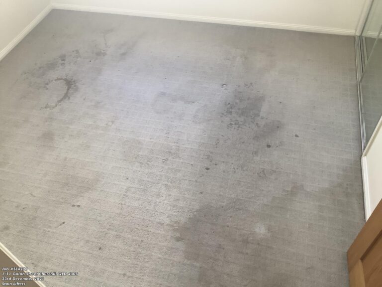 before photo of very dirty carpet