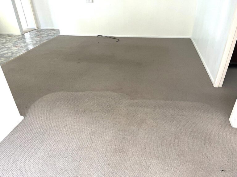 Half clean half dirty carpet